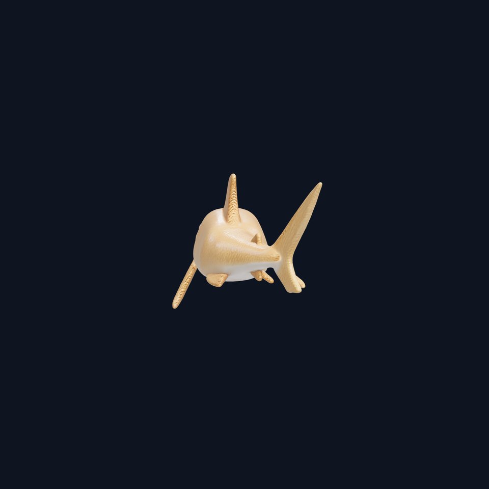 Wobbegong Shark 3D Model with Carpet-like Texture